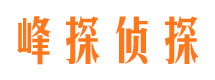 雄县市私人侦探